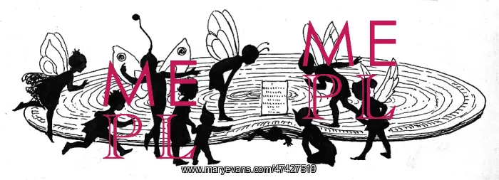 : The Fairy Under the Doormat : The Fairy Under the Doormat