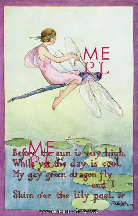 : Fairy on a dragonfly : Fairy on a dragonfly