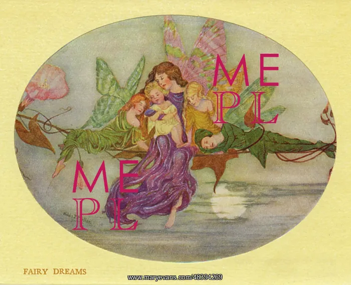  : Fairy Dreams by Hilda T Miller