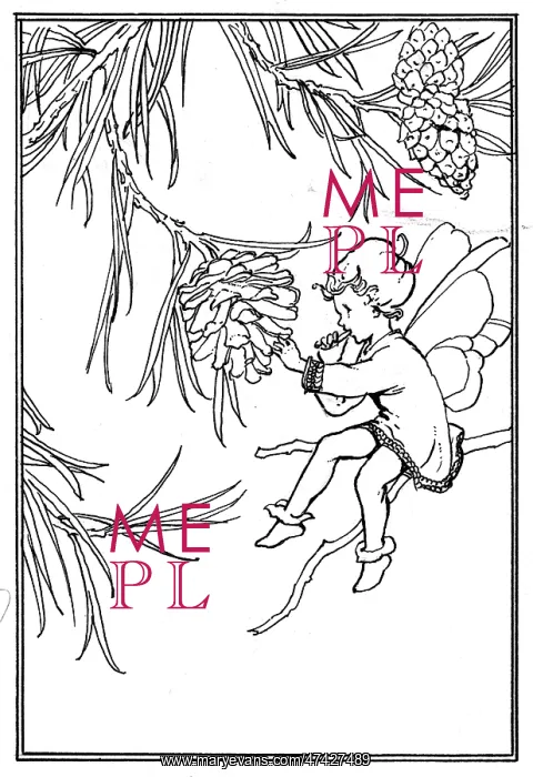 : Fairy on fir tree with fir cones : Fairy on fir tree with fir cones