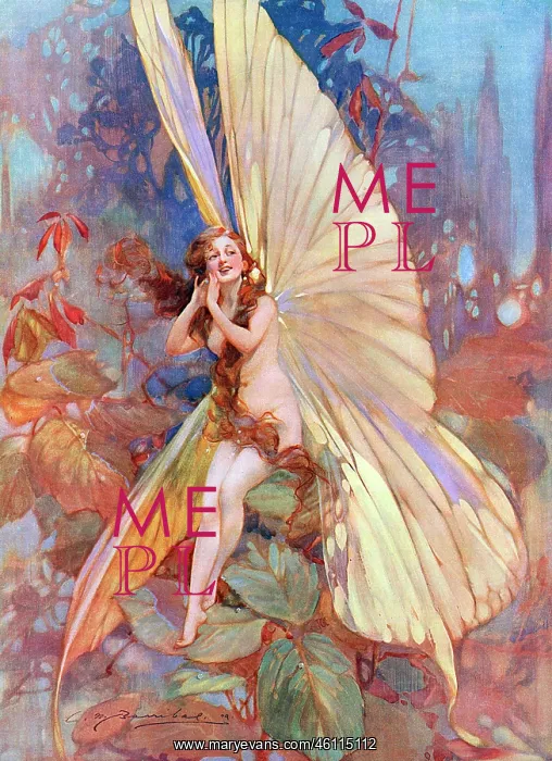 : The Fairy of Flight by William Barribal : The Fairy of Flight by William Barribal