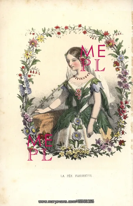 : The fairy floret within a garland of flowers : The fairy floret within a garland of flowers