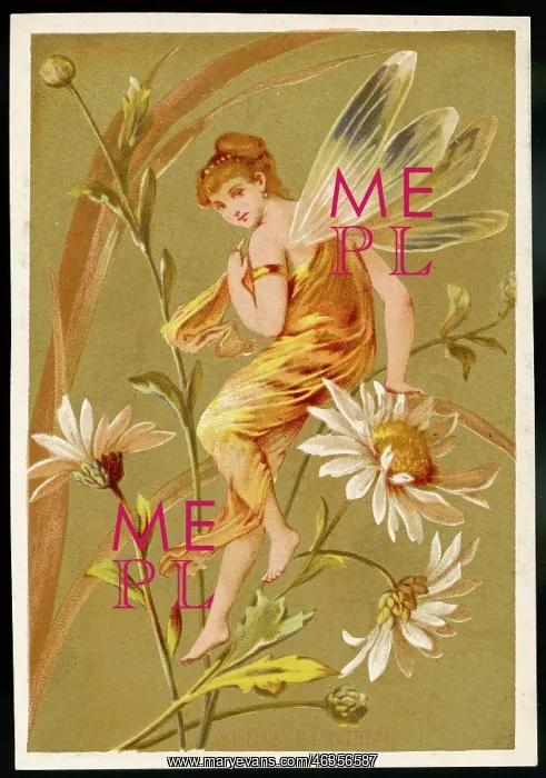  : Fairy on Flower