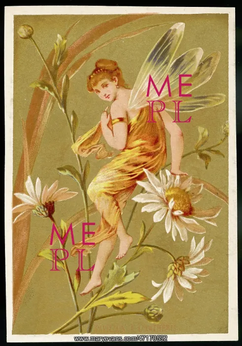  : Fairy on Flower