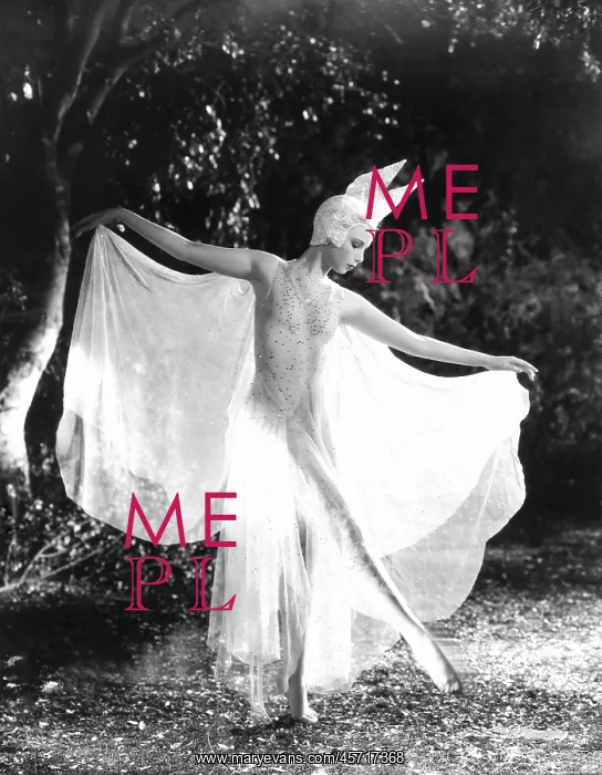  : Fairy in the forest