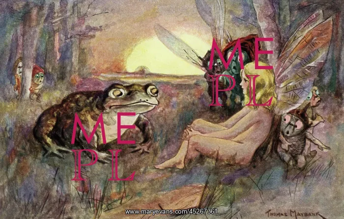 : A fairy and a frog : A fairy and a frog