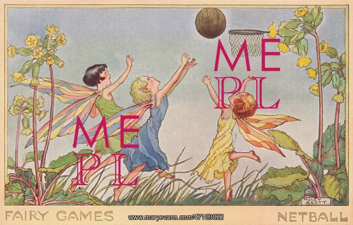 : Fairy Games - netball : Fairy Games - netball