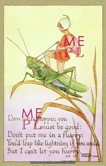 : Fairy on a grasshopper : Fairy on a grasshopper