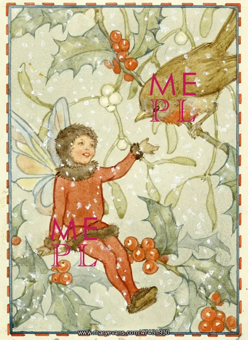 : A fairy greeting a robin bird : A fairy greeting a robin bird
