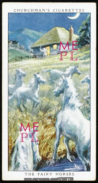 : Fairy Horses : Fairy Horses
