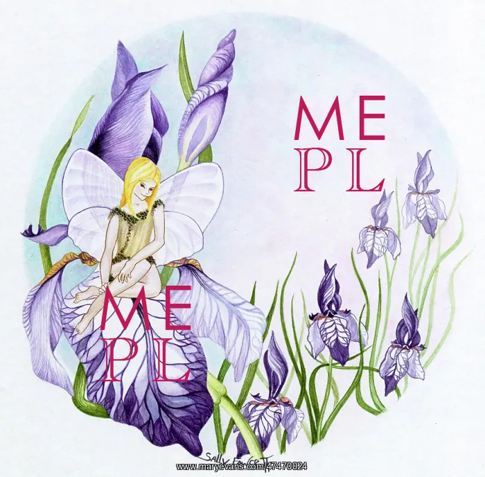 : Fairy on Iris ' fairy sitting on a purple iris : Fairy on Iris ' fairy sitting on a purple iris