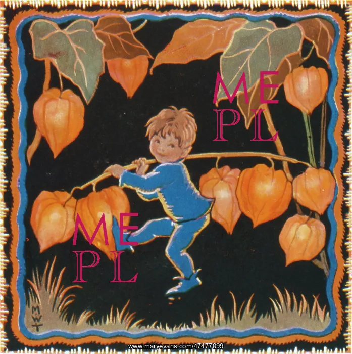 : Fairy Lanterns ' pixie with fairy lanterns : Fairy Lanterns ' pixie with fairy lanterns