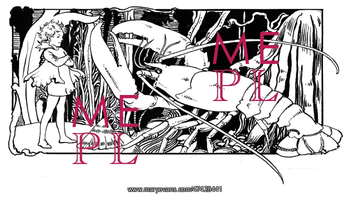 : Fairy and lobster : Fairy and lobster