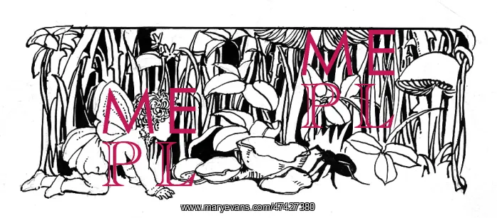 : Fairy looking at beetle : Fairy looking at beetle