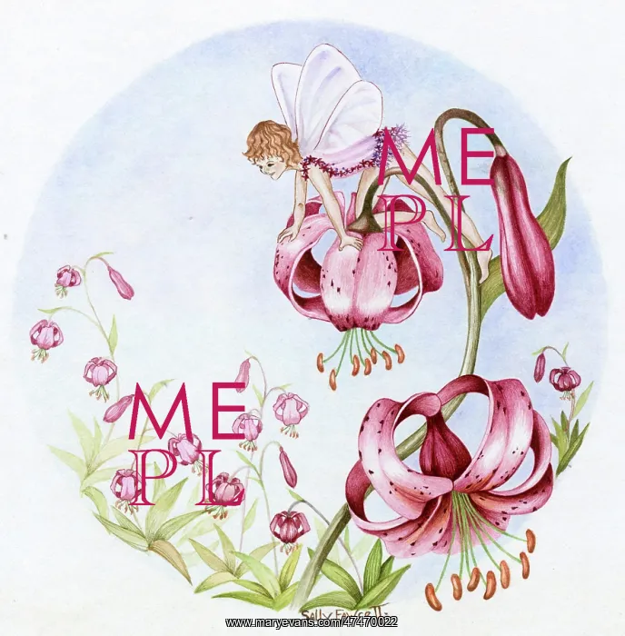  : Fairy on Martagon Lily