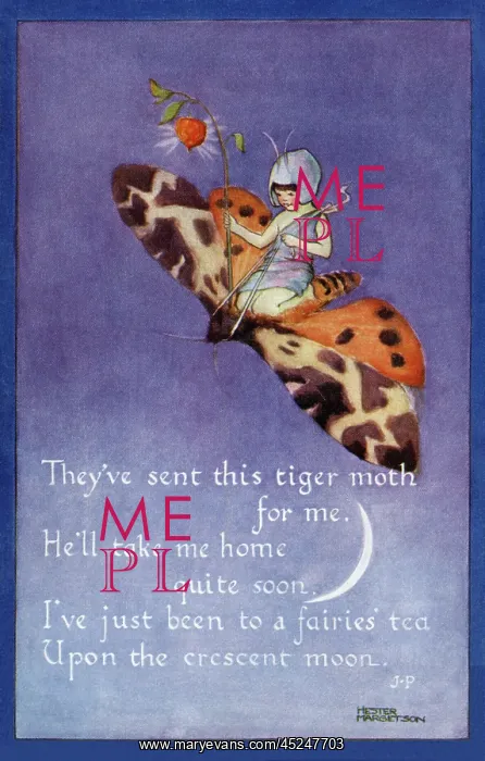 : Fairy on a moth : Fairy on a moth