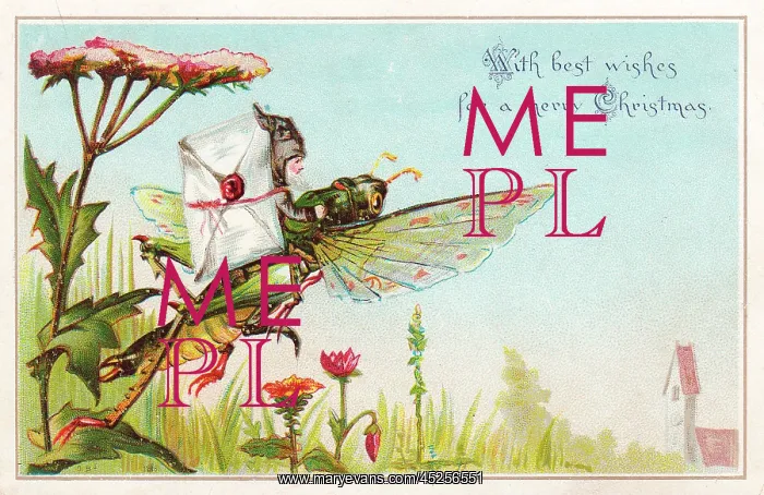 : Fairy postman riding grasshopper on a Christmas card : Fairy postman riding grasshopper on a Christmas card