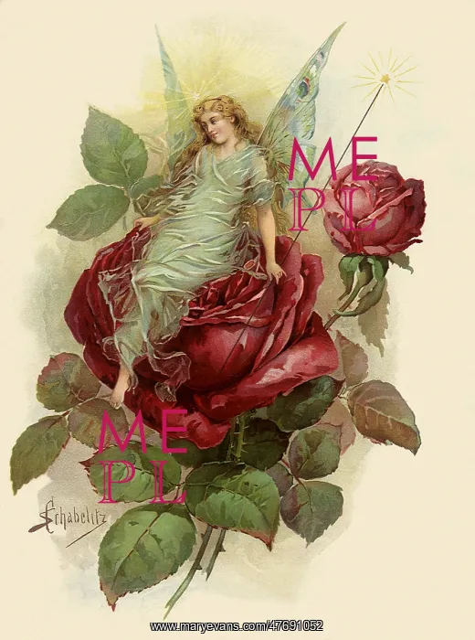  : Fairy on Red Rose