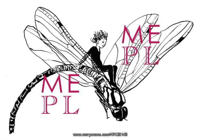 : Fairy riding on a dragonfly : Fairy riding on a dragonfly