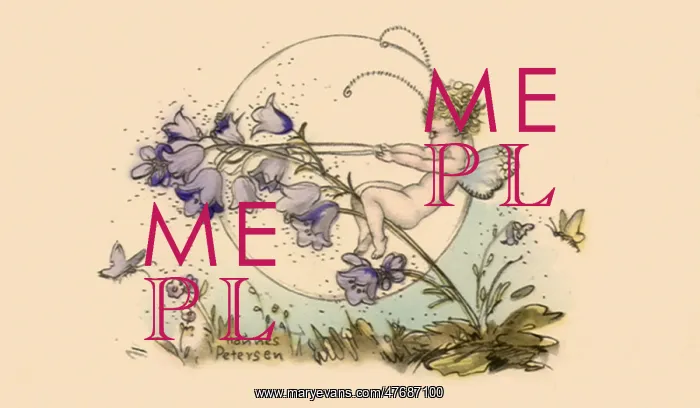  : Fairy Riding Flowers