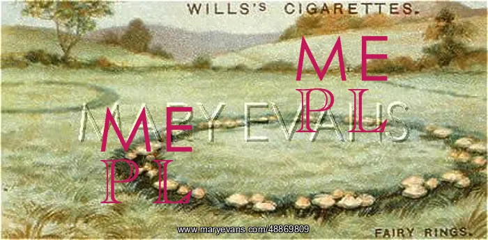  : FAIRY RING