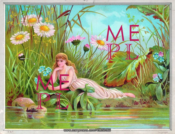 : Fairy on a riverbank on a greetings card : Fairy on a riverbank on a greetings card