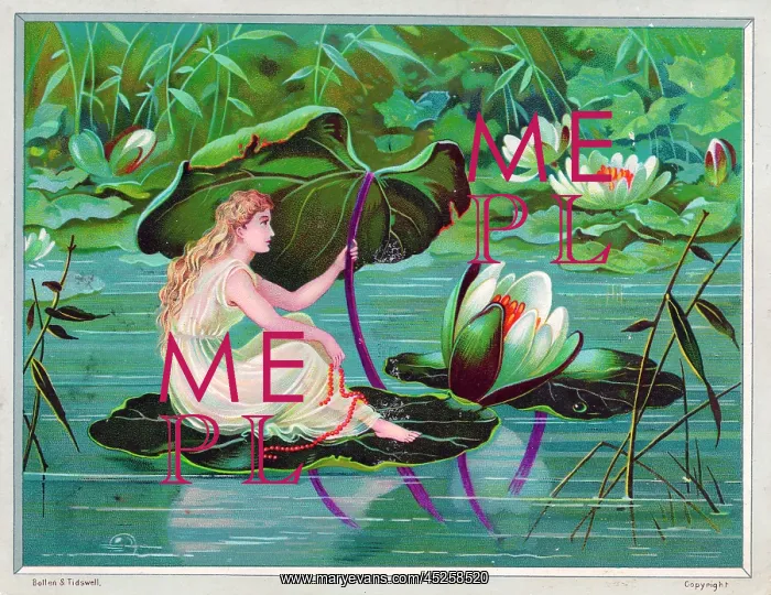 : Fairy sheltering under lily leaf on a greetings card : Fairy sheltering under lily leaf on a greetings card
