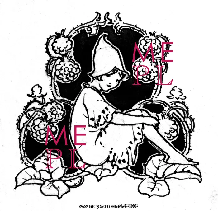 : Fairy sitting with raspberries : Fairy sitting with raspberries