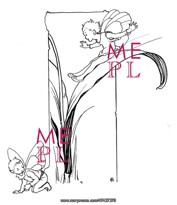 : Fairy sliding down tulip leaf : Fairy sliding down tulip leaf