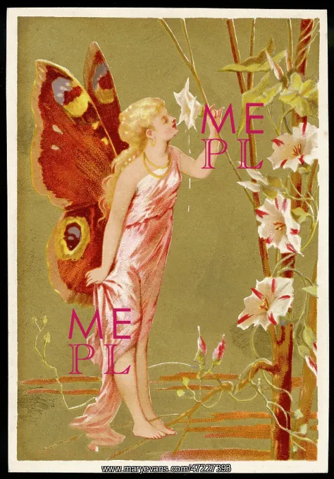  : Fairy Smelling a Flower