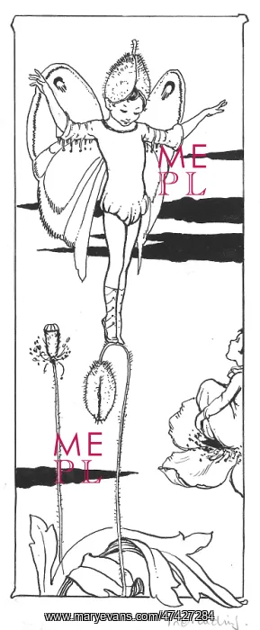 : Fairy standing on tulip : Fairy standing on tulip