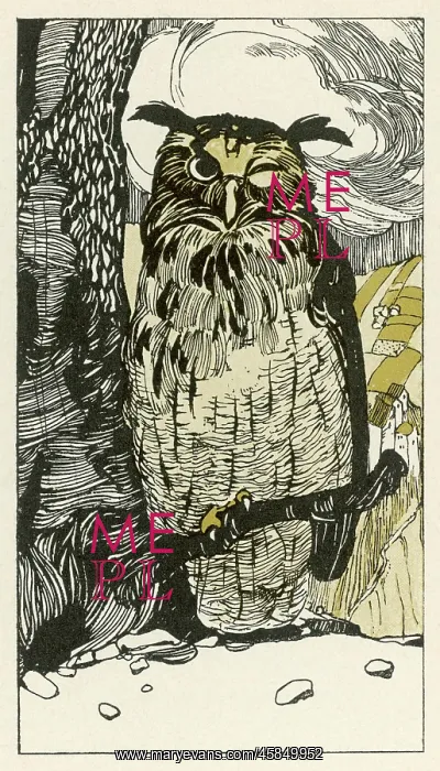 : FAIRY TALE / WILLOW WREN : FAIRY TALE / WILLOW WREN