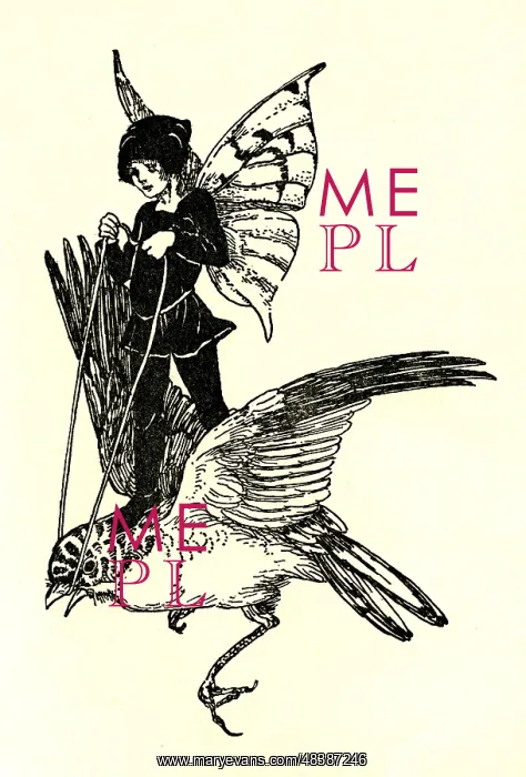 : A fairy travels through the air on a bird : A fairy travels through the air on a bird