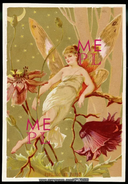  : Fairy on Twig