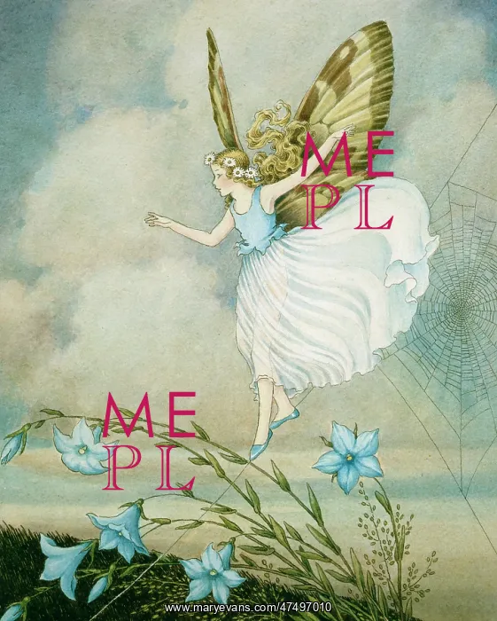 : Fairy walking on a spiders web : Fairy walking on a spiders web