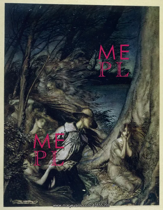: THE FAIRY WIFE : THE FAIRY WIFE