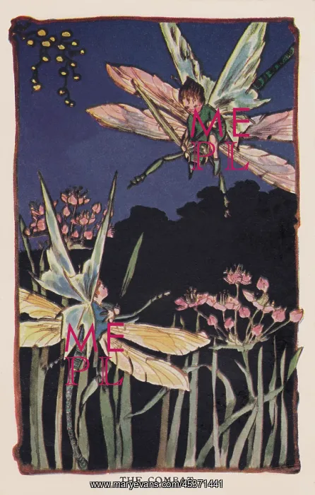  : Fairyland. The Combat'. Fairies on dragonflies do battle. Artist: CM Cottam
