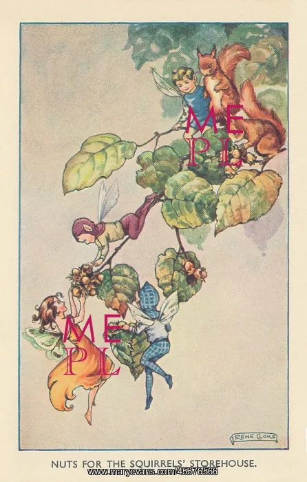 : Fairyland. Nuts for the Squirrels Storehouse : Fairyland. Nuts for the Squirrels Storehouse