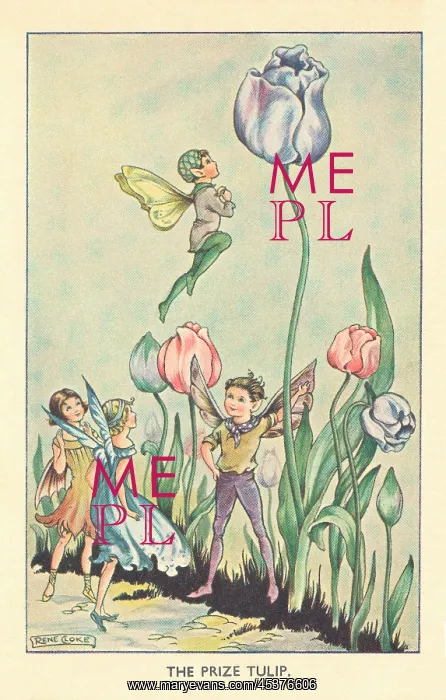 : Fairyland. The Prize Tulip. Fairies admiring the huge tulip. Artist: Rene Cloke : Fairyland. The Prize Tulip. Fairies admiring the huge tulip. Artist: Rene Cloke