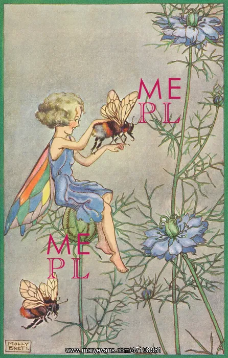 : Fairyland - fairy and bee : Fairyland - fairy and bee