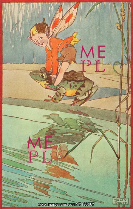 : Fairyland - fairy and frog : Fairyland - fairy and frog