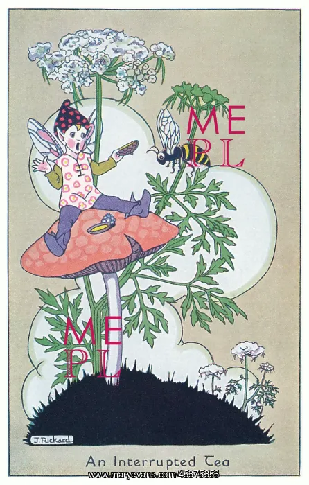 : Fairyland - An Interrupted Tea : Fairyland - An Interrupted Tea