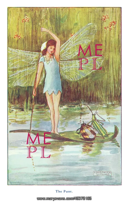 : Fairyland - The Punt : Fairyland - The Punt