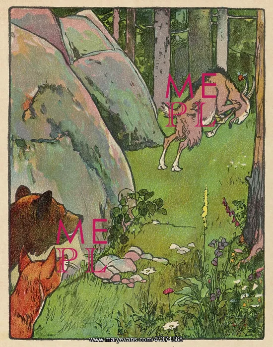 : FAIRYTALE TISCHLEIN : FAIRYTALE TISCHLEIN