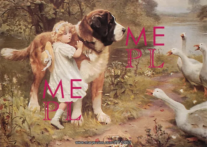  : Faithful Guardian