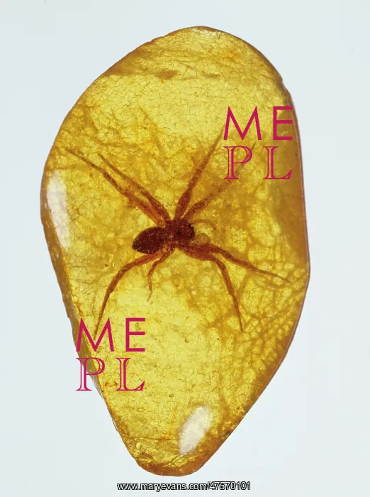 : Fake amber : Fake amber