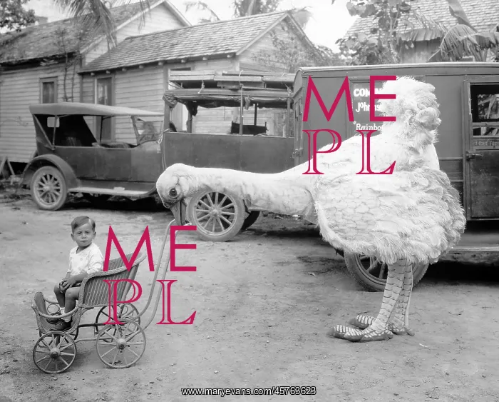 : Fake ostrich with boy in a pushchair : Fake ostrich with boy in a pushchair