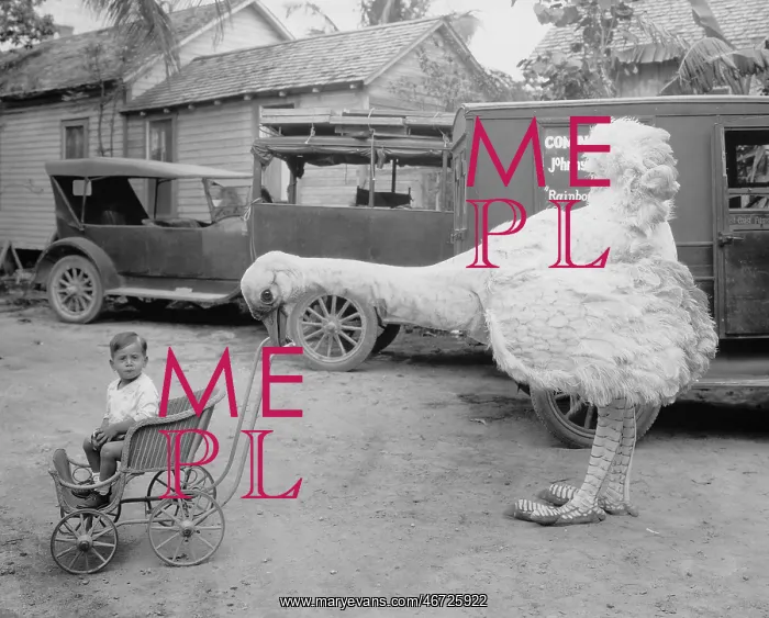 : Fake ostrich pushing boy in stroller : Fake ostrich pushing boy in stroller