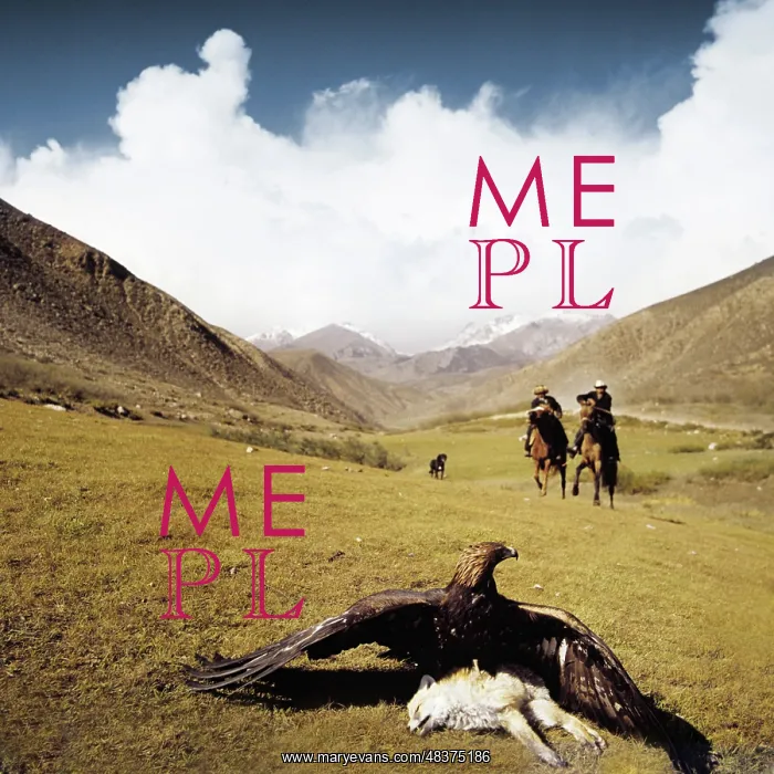 : Falconry, 1976 : Falconry, 1976