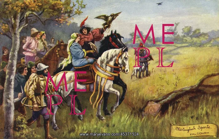  : Falconry. Old English Sports - Falconry taking place in a medaeval setting